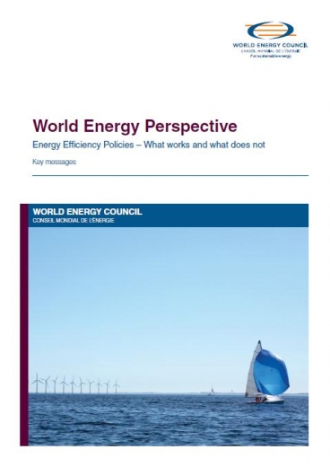 World Energy Perspective: Energy Efficiency Policies – What works and what does not
