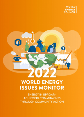 USA Energy Issues Monitor 2022