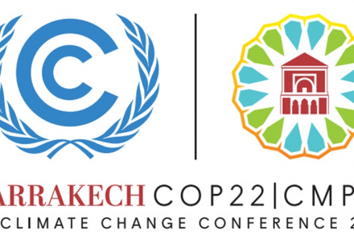 World Energy Council brings  7 new realities in energy to COP22 negotiations in Marrakech - News & Views