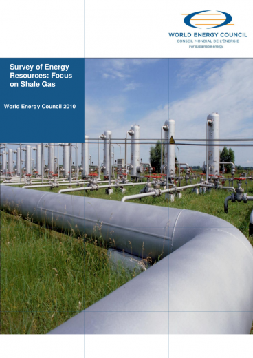 World Energy Perspective: Shale Gas 2010