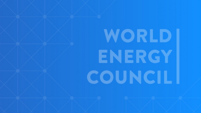 World Energy Council Colombia: Energy consumer congress - Events