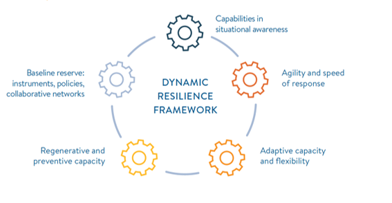 Dynamic Resilience Framework