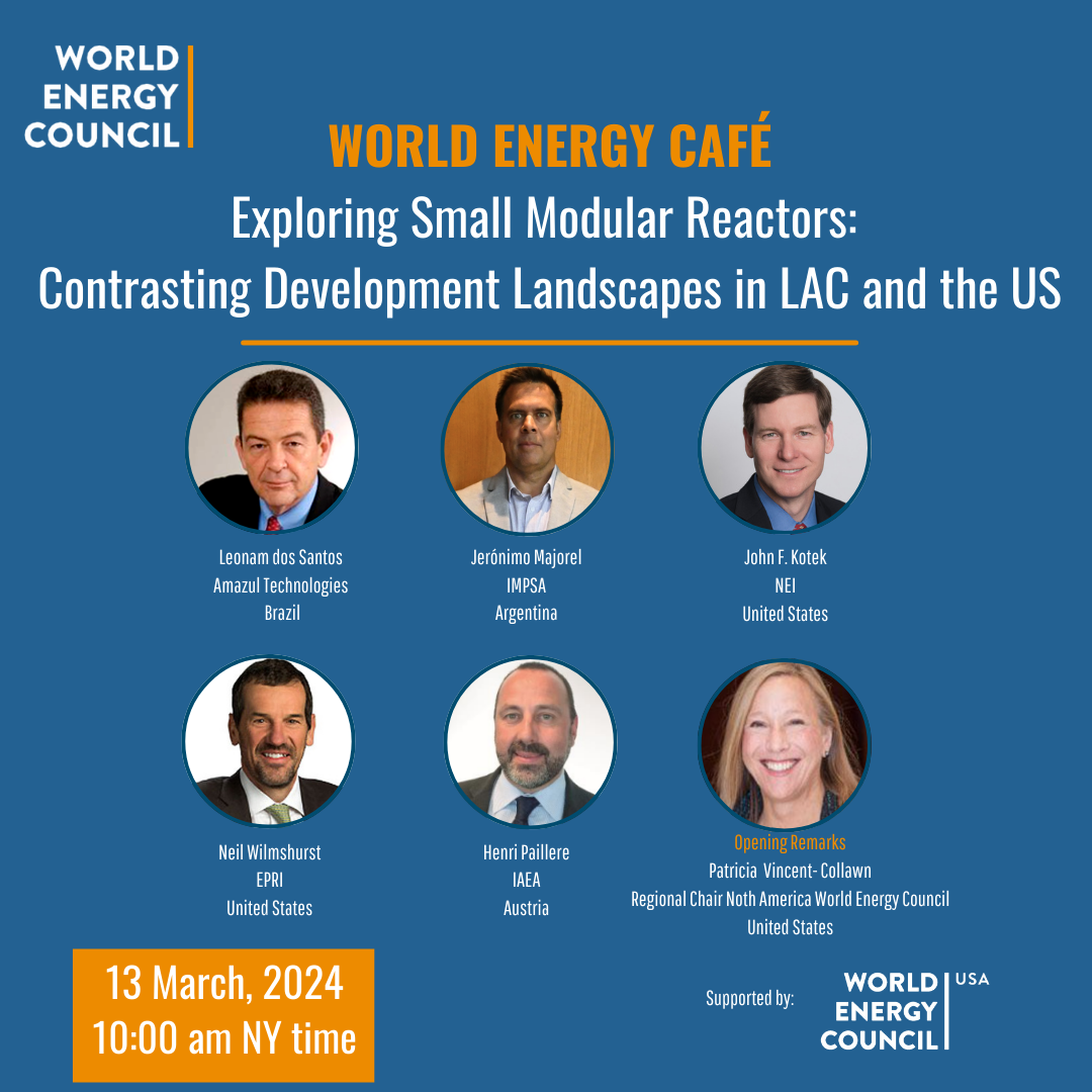 Exploring Small Modular Reactors: Contrasting Development Landscapes in LAC and the US