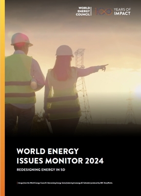 World Energy Issues Monitor 2022