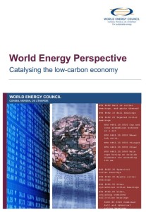World_Energy_Perspective_Cover2