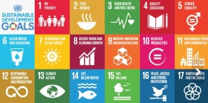 UN SDG logos