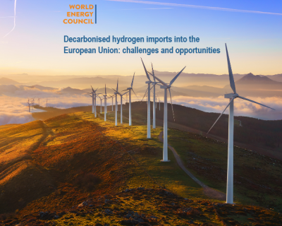 Decarbonised hydrogen imports into the European Union: challenges and opportunities