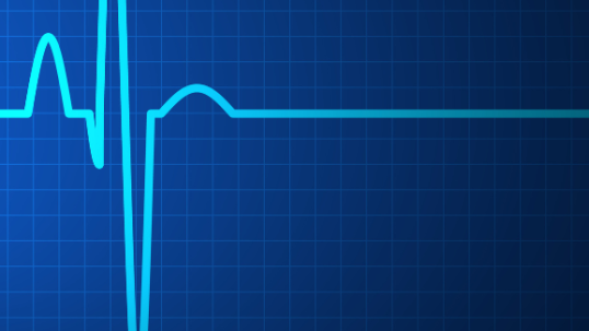 World Energy Pulse August 2022