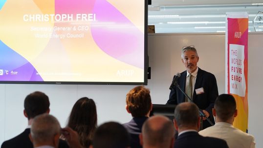 Council CEO visits Australia to discuss the energy transition