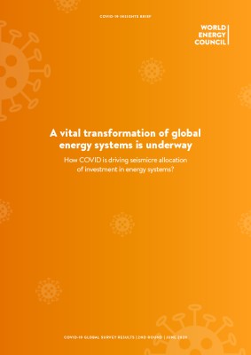 2nd COVID-19 Impact Survey: Results