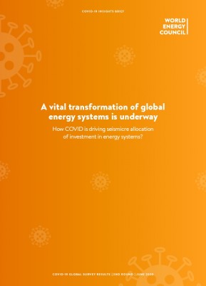 2nd COVID-19 Impact Survey: Results