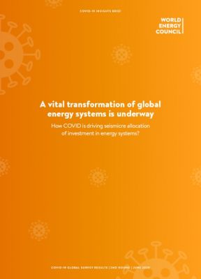 2nd COVID-19 Impact Survey: Results