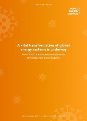 2nd COVID-19 Impact Survey: Results