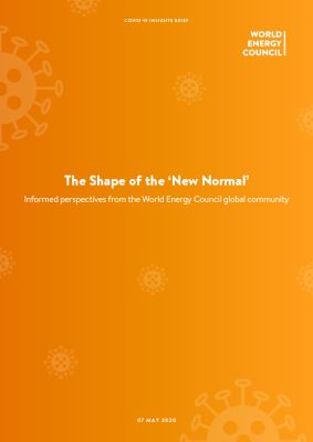 Initial Results: COVID-19 Impact Survey - Outlook for Energy Systems and Energy Transition