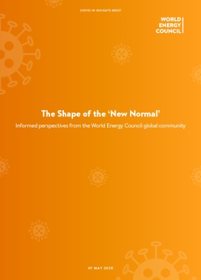 Initial Results: COVID-19 Impact Survey - Outlook for Energy Systems and Energy Transition