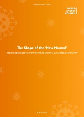 Initial Results: COVID-19 Impact Survey - Outlook for Energy Systems and Energy Transition