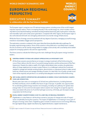 European Regional Perspectives Executive Summary Download