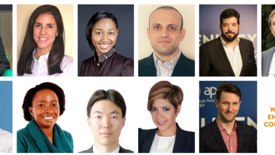 Meet our new talented FEL Board