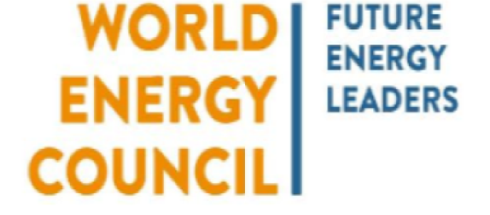 Learn More about the FEL Programme - World Energy Council