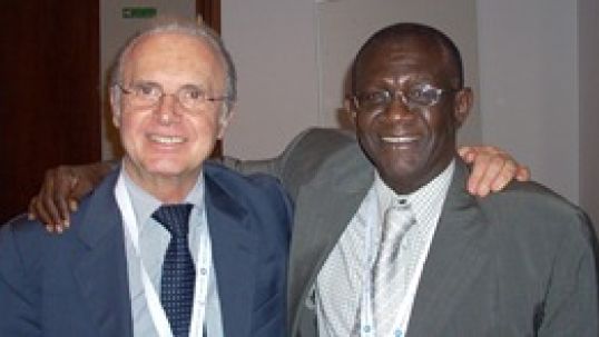 Power plant performance and interconnection: crucial for African energy access