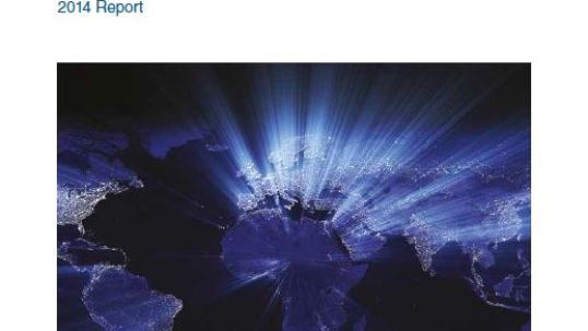 Global Electricity Initiative: 2014 Report