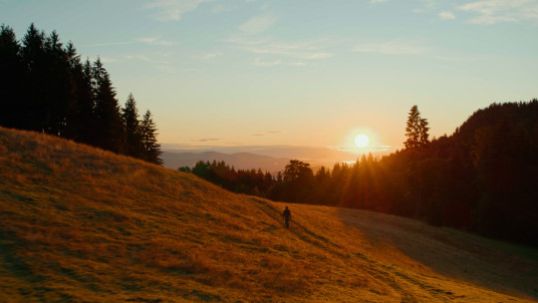 Infineon: The tiny technology powering our electronics