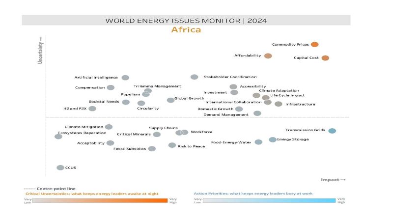 World Energy Issues Monitor 2024 - Africa Map
