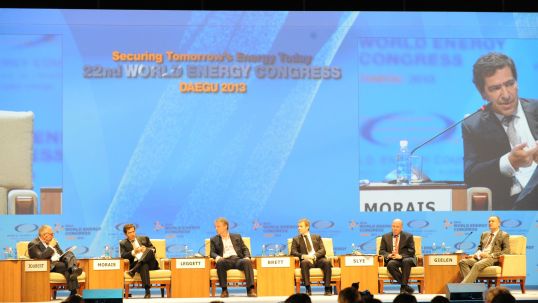 Future of renewables debated at the Daegu 2013 Congress