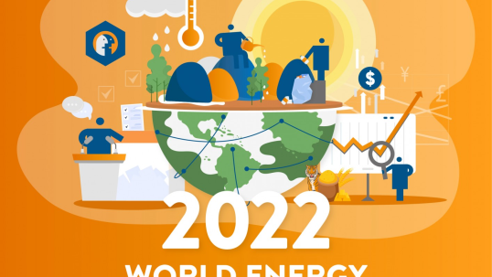 World Energy Issues Monitor | 2022