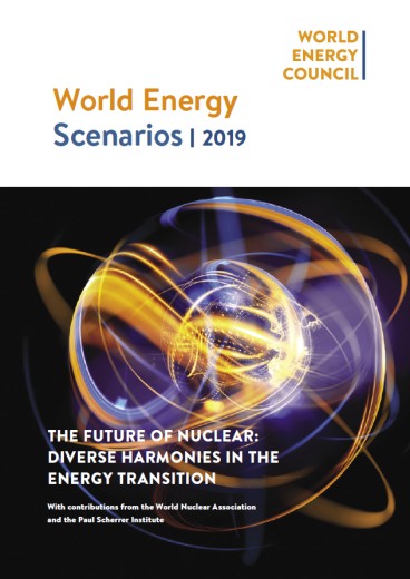 The Future of Nuclear: Diverse Harmonies In the Energy Transition