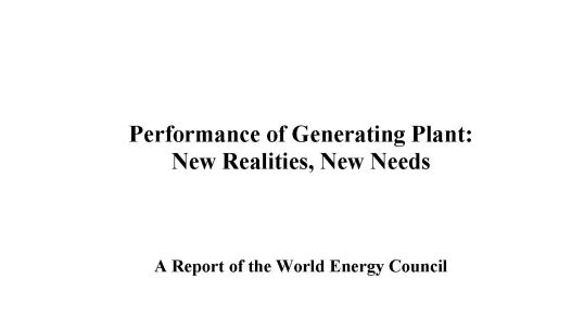 Performance of Generating Plant 2004: New Realities, New Needs