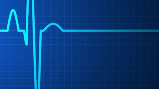 World Energy Pulse November 2023