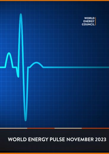 World Energy Pulse November 2023