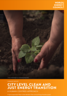 SUMMARY REPORT | City Level Clean and Just Energy Transition