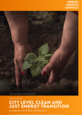 SUMMARY REPORT | City Level Clean and Just Energy Transition