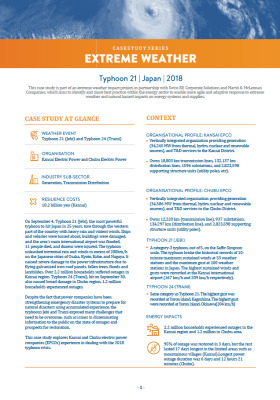 Typhoon 21 Japan Extreme Weather Case Study