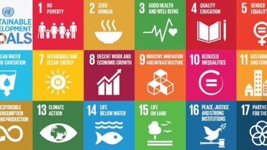 World Energy Council welcomes energy inclusion in UN Sustainable Development Goals