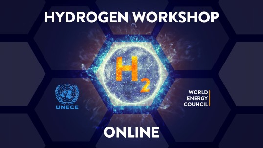 Successful Hydrogen Online Workshop 