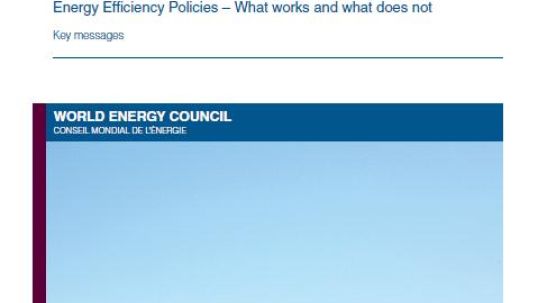 World Energy Perspective: Energy Efficiency Policies – What works and what does not