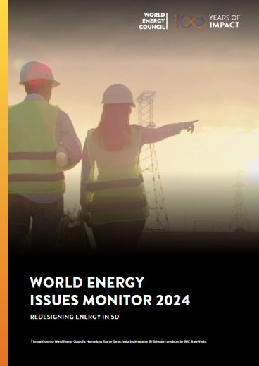World Energy Issues Monitor | 2024