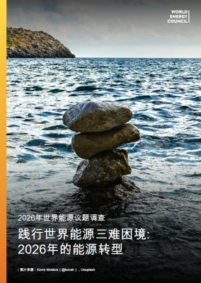 World Energy Issues Monitor 2026 (Chinese Translation)
