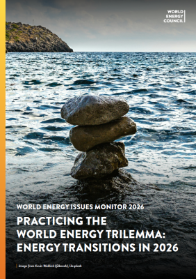 World Energy Issues Monitor 2026