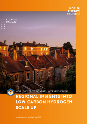 Executive Summary: Regional Insights into Low-Carbon Hydrogen Scale Up | World Energy Insights