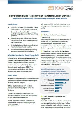 World Energy Café: How Demand-Side Flexibility Can Transform Energy Systems