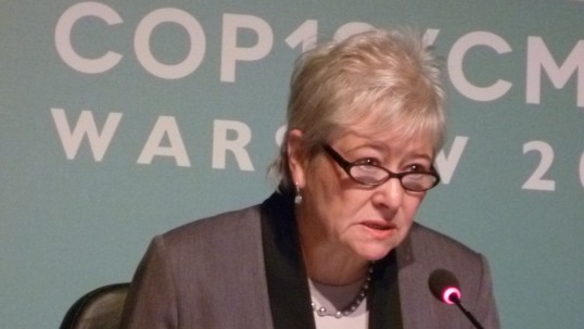 Delays in agreeing a coherent climate framework could be creating the next “too big to fail” sector