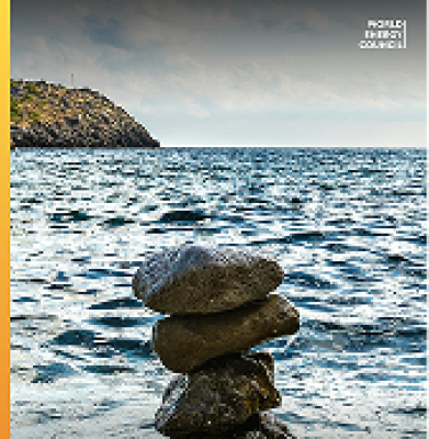 World Energy Issues Monitor 2026