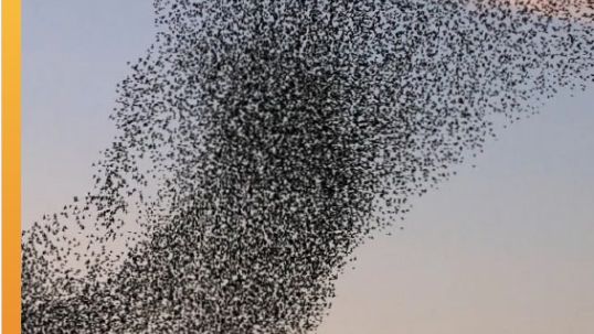 World Energy Issues Monitor | 2025