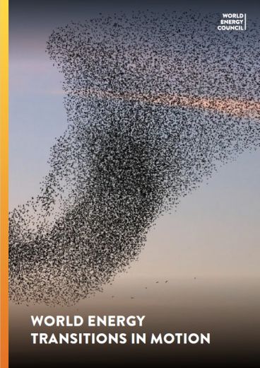 World Energy Issues Monitor | 2025