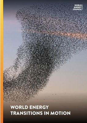 World Energy Issues Monitor 2025