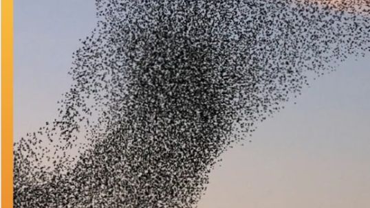 2025 World Energy Issues Monitor Reinforces Central Role of World Energy Trilemma in Shifting Energy Transition Landscape